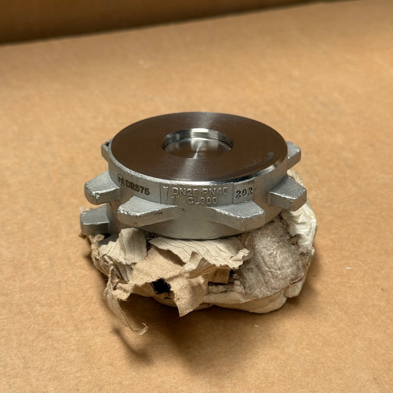 ARI-Armaturen – CHECKO-D DN25 – Metallic Sealing Check Valve PN16-40 CL150-300