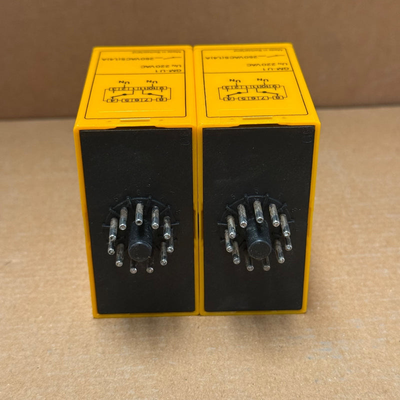 Selectron – GM-U1 – Voltage Monitoring Relay 220VAC