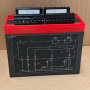 EES – ESMD24 – Fault Annunciator / Signal Processing Module (24 VDC)