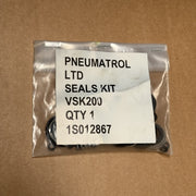 RGS Electro Pneumatics – VSK 200 – KIT REPAIR
