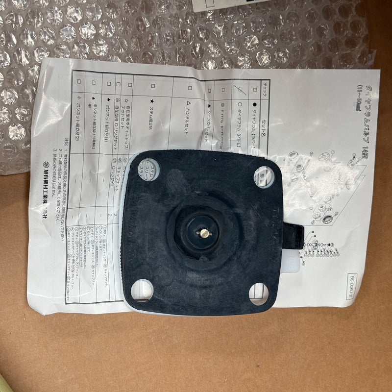 AsahiAV – S14D1T040 / CP14D015P (14D DIA PT 40MM) – Replacement PTFE Diaphragm