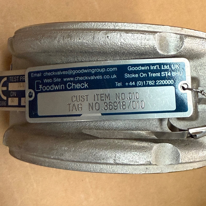 Goodwin – 2" 300RF SSPPR/YS (API 594) – Dual Plate Wafer Check Valve 2-inch
