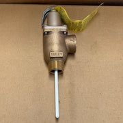 Watts – M15 STD.Z21.22 – Reseating Temperature & Pressure (T&P) Relief Valve